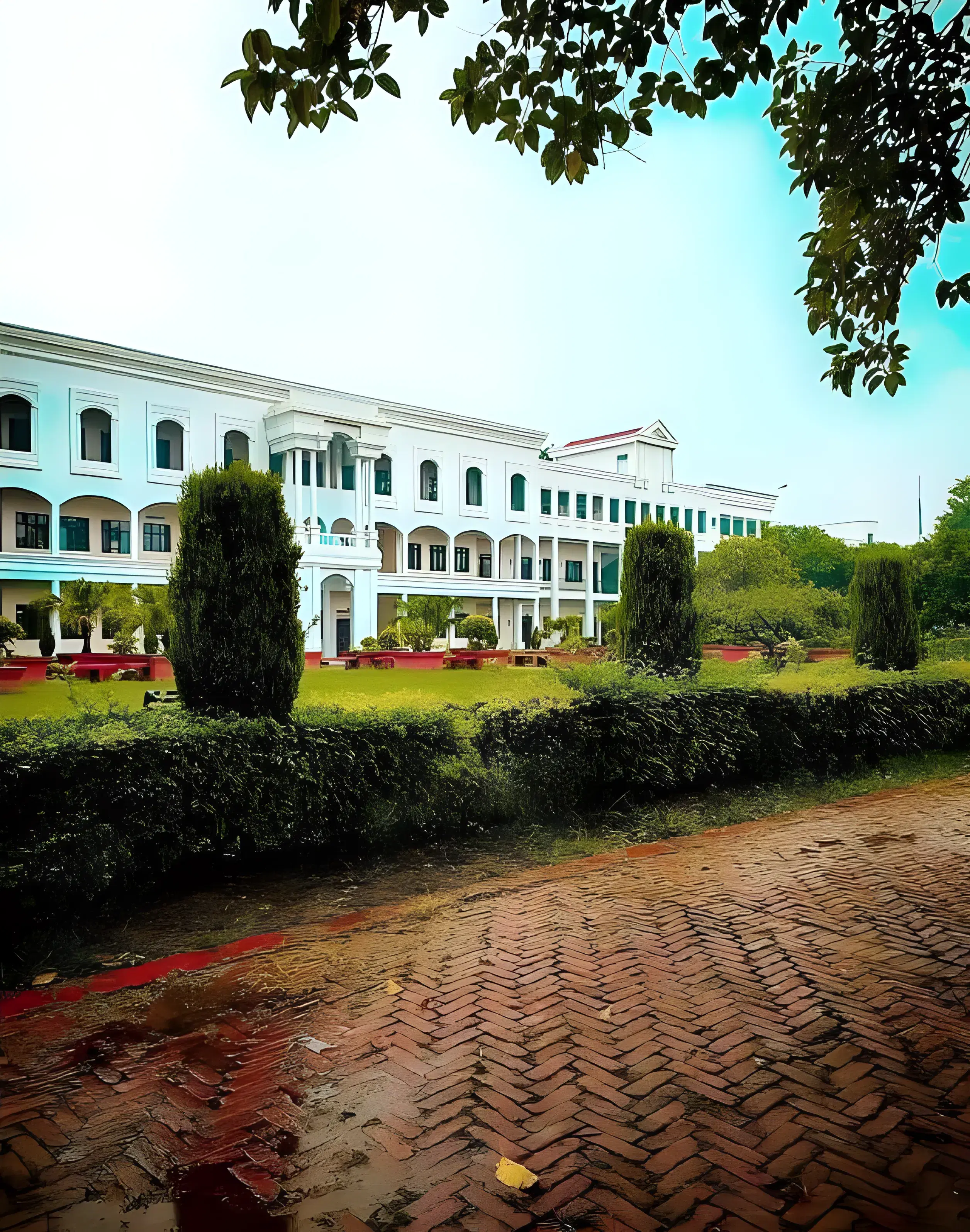 COER University Library photo 3